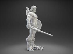 Hero Heman Realistic 3D printed Resin Figure GK Unpainted Unassembled Model Kit